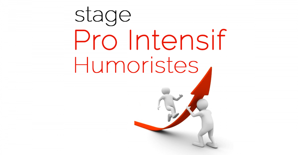 photo de Stage « Pro Intensif Humoristes »